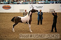 usn07_02429 proof