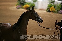 usn07_02431 proof