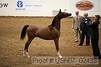 usn07_02433 proof