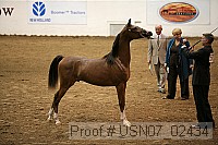 usn07_02434 proof