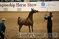 usn07_02435 proof