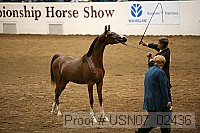 usn07_02436 proof