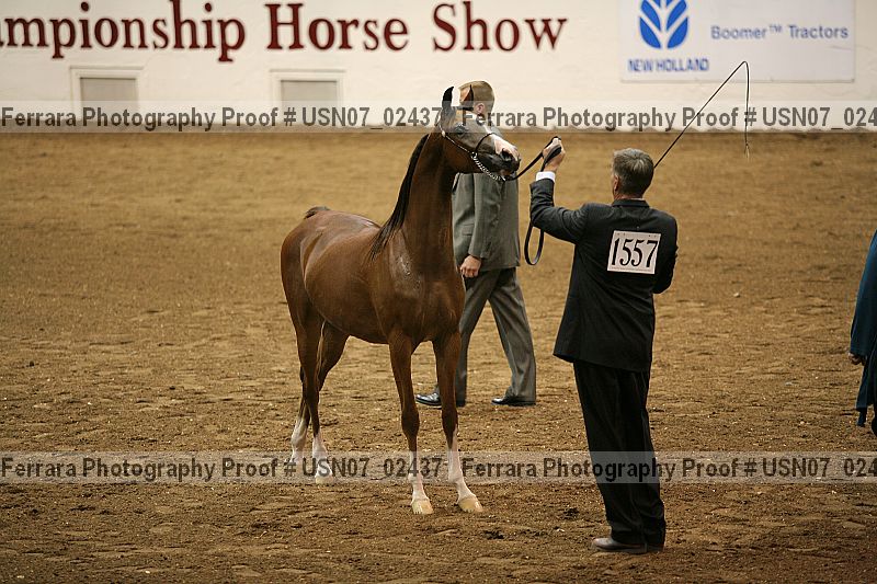 Proof usn07_02437