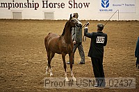 usn07_02437 proof