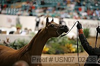usn07_02438 proof
