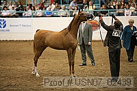 usn07_02439 proof