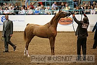 usn07_02440 proof