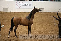 usn07_02442 proof