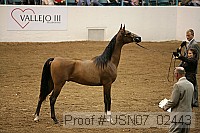 usn07_02443 proof
