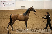 usn07_02444 proof