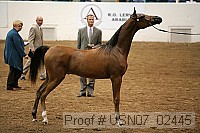 usn07_02445 proof