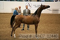 usn07_02446 proof