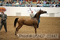 usn07_02447 proof