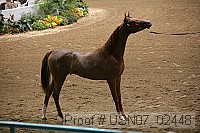 usn07_02448 proof