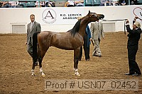 usn07_02452 proof