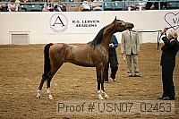 usn07_02453 proof