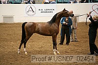 usn07_02454 proof
