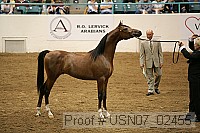 usn07_02455 proof