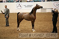 usn07_02456 proof