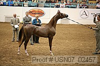 usn07_02457 proof