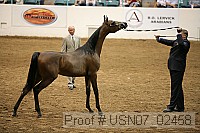 usn07_02458 proof