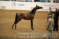 usn07_02459 proof