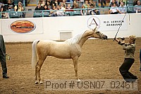 usn07_02461 proof
