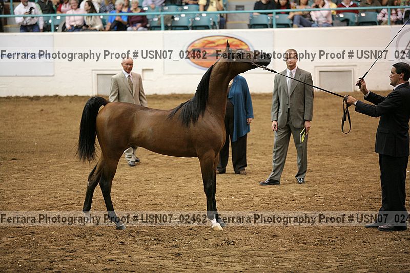 Proof usn07_02462