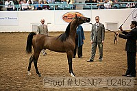 usn07_02462 proof
