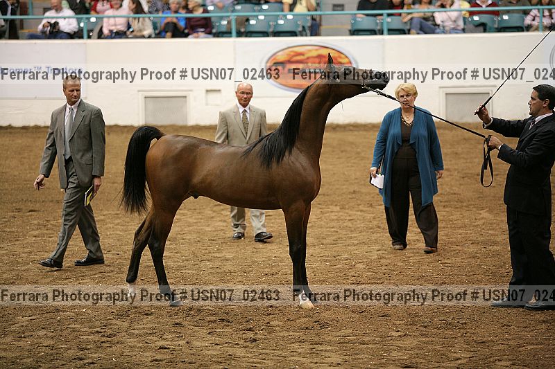 Proof usn07_02463