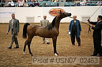 usn07_02463 proof