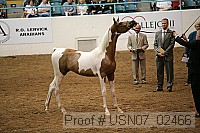 usn07_02466 proof