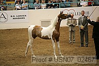 usn07_02467 proof