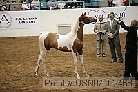 usn07_02468 proof