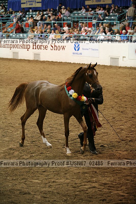 Proof usn07_02485
