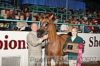 usn07_j02607 proof