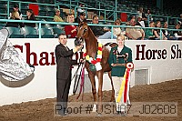 usn07_j02608 proof