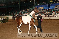 usn07_j02616 proof