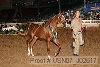 usn07_j02617 proof