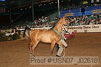 usn07_j02618 proof
