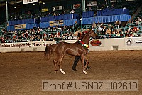 usn07_j02619 proof