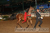 usn07_j02620 proof