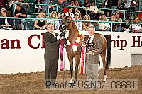 usn07_08681 proof