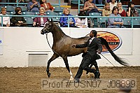 usn07_j08899 proof