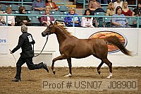 usn07_j08900 proof
