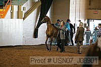usn07_j08901 proof