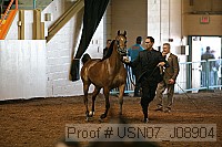 usn07_j08904 proof