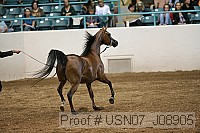 usn07_j08905 proof