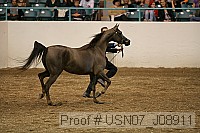 usn07_j08911 proof
