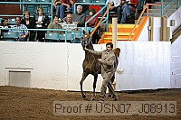 usn07_j08913 proof